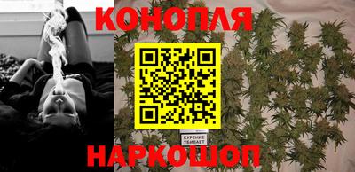 Альфа ПВП Кандалакша