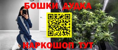 Альфа ПВП Кандалакша