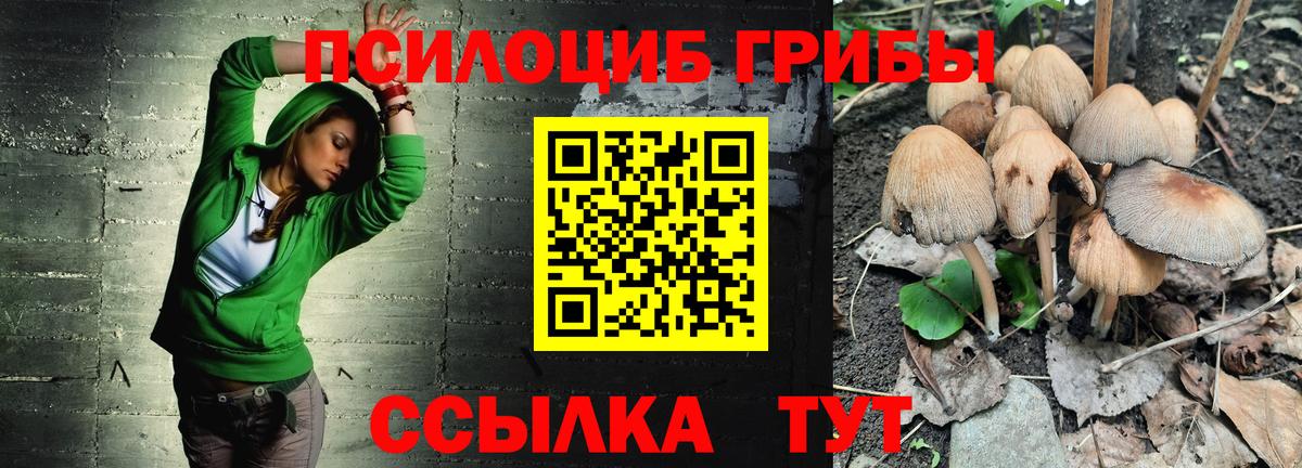 цена   Галлюциногенные грибы Psilocybe  Псилоцибиновые грибы Psilocybine cubensis  Вход с VPN  Киселёвск 